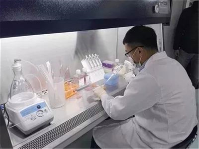 打造國家級基因工程抗體新高地——探訪李滄區博隆基因治療性生物制品項目